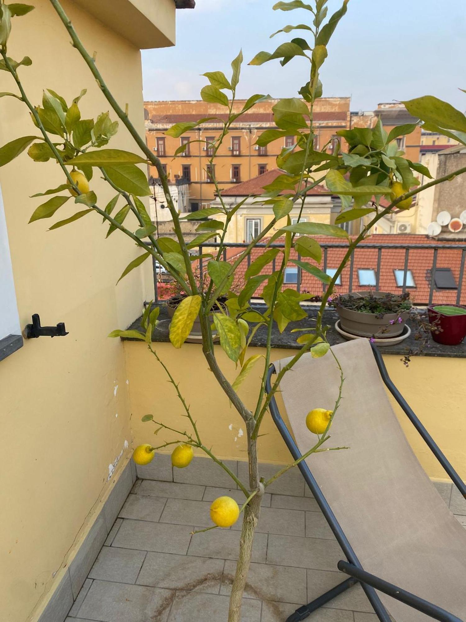 The Station Napoli Bed and Breakfast Εξωτερικό φωτογραφία